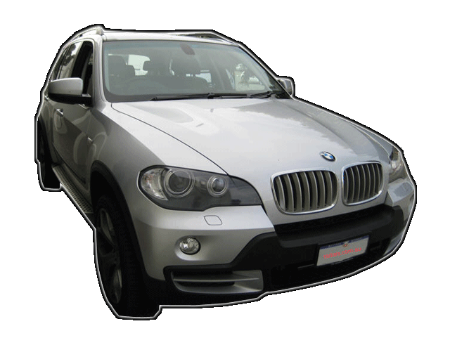 DSI Stinger Computer - BMW x5